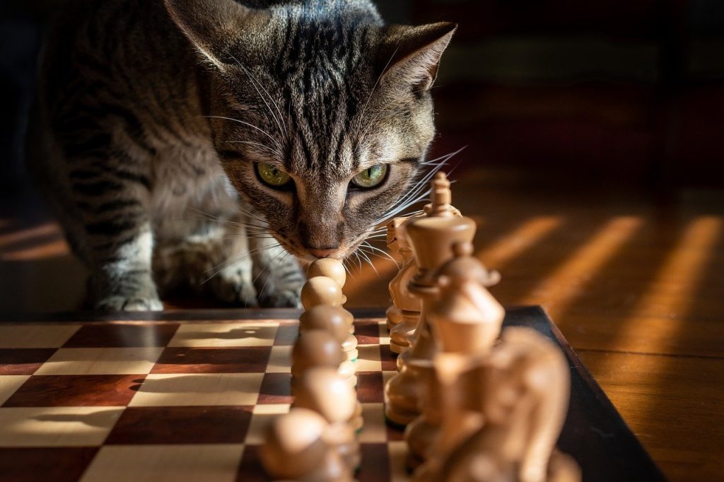 5 Trampas del ajedrez que debes conocer